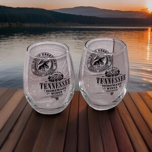 Gatlinburg Tennessee Cider Co & Tennessee Homemade Wine Glasses 4" Set Of 2